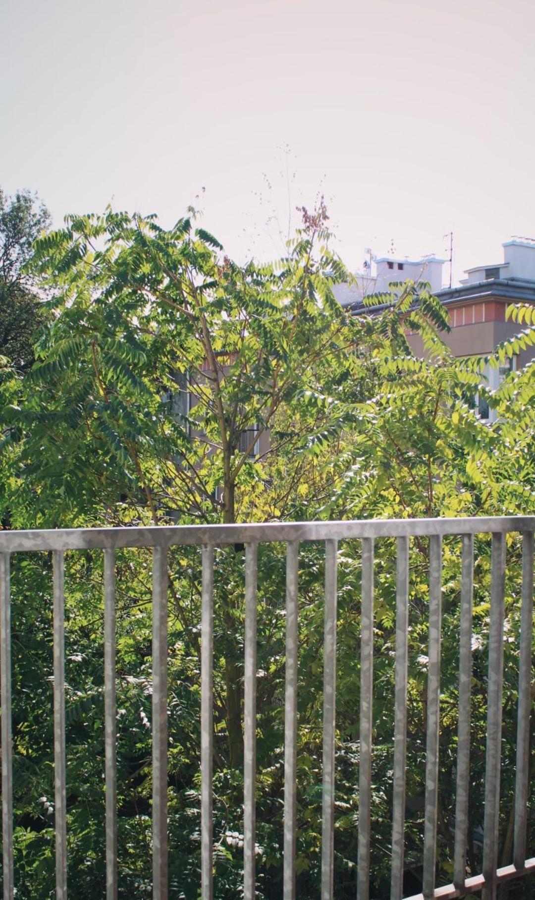 Modern House In Old Town Numero 8 クラクフ エクステリア 写真